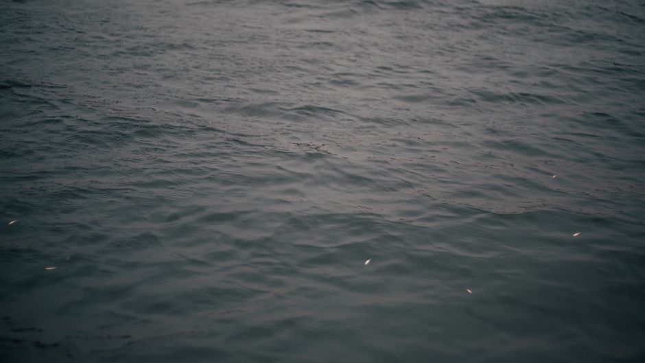 Tranquil view of ocean waves under an overcast sky, depicting calmness and serenity.