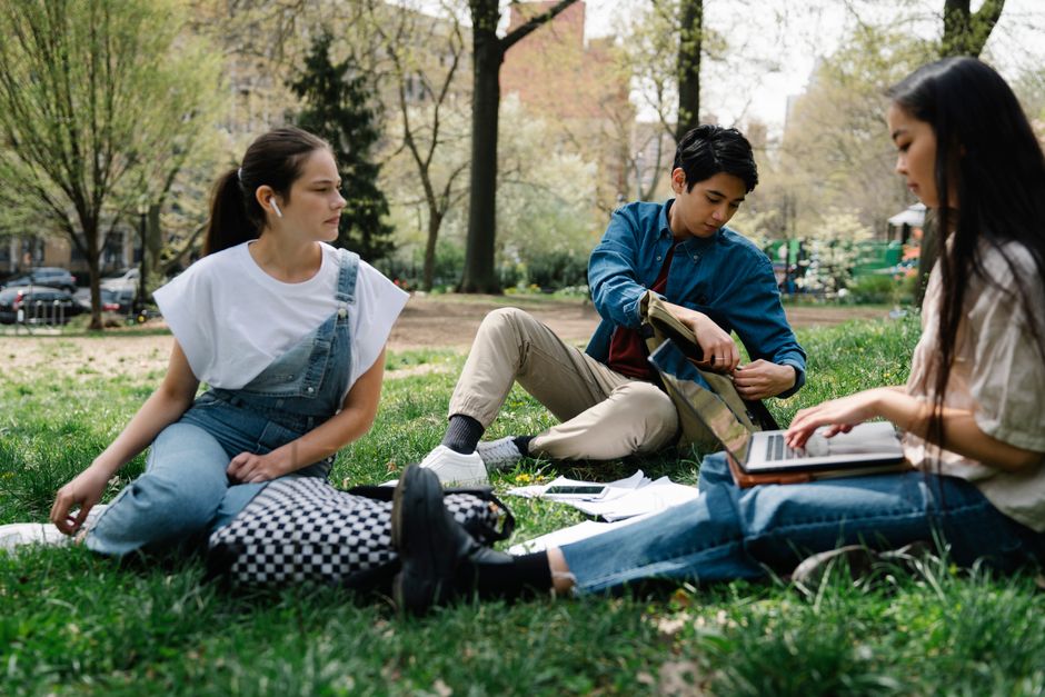 College students study together in a park, enjoying a sunny day on the grass.