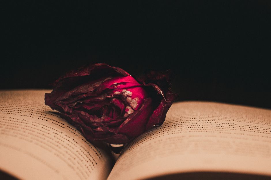 Close-up still life of a dried rose on an open book, set against a black background.