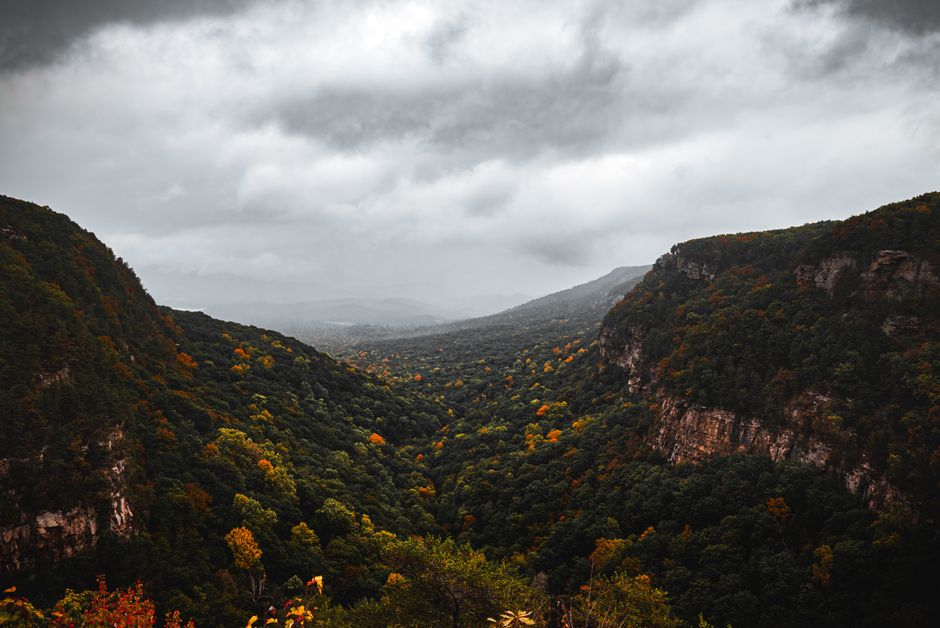 Breathtaking view of an autumn forest valley with dense foliage and dramatic cloudy sky.
