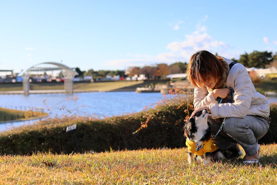 A woman crouches by a Chihuahua at Hitachi Seaside Park in Hitachinaka, Japan.