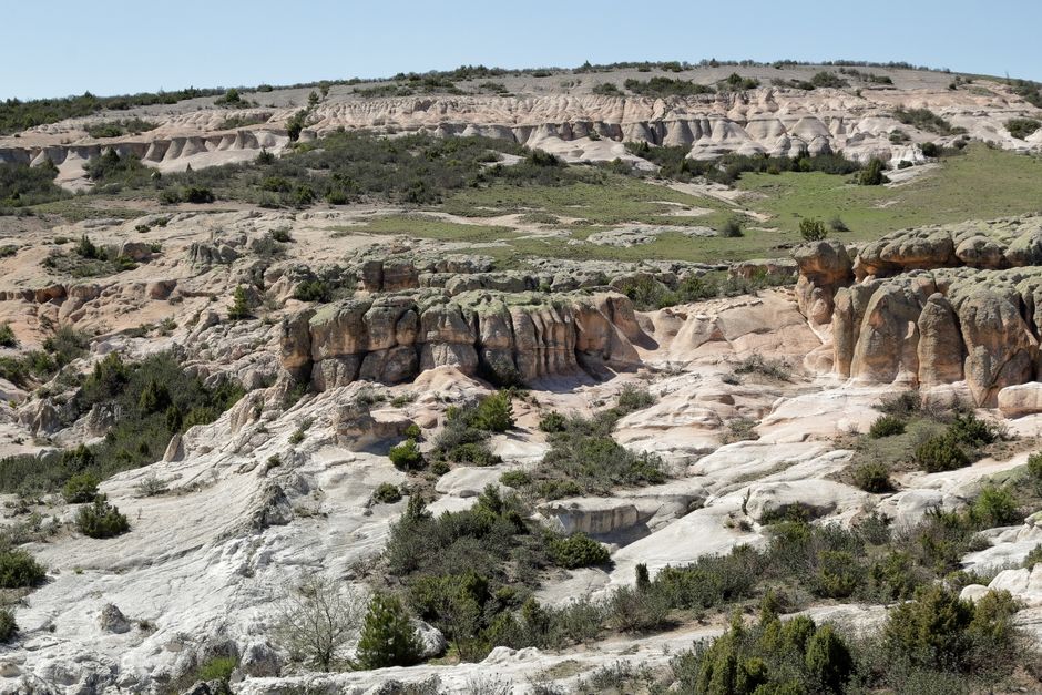 Explore the unique eroded rock formations and sparse vegetation in this breathtaking arid landscape.