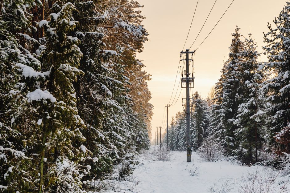 A serene snowy forest landscape with power lines at sunset, capturing the essence of winter.